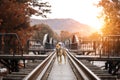 Homeless pets on in raiway; A Homeless animals; A dog at the railway station Royalty Free Stock Photo