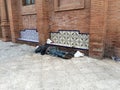 homeless sleeps in street