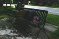 Homeless teenager sleeping on a park bench. Royalty Free Stock Photo