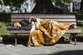 Homeless woman sleeping on a bench Royalty Free Stock Photo