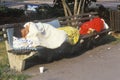 Homeless women sleeping on bench, Washington D. C.