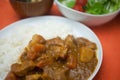 Homely Japanese curry Royalty Free Stock Photo