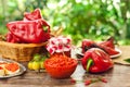 Homemade ajvar in bowl with roasted pepper Royalty Free Stock Photo