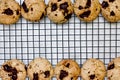 Homemade american chocolate chip cookies Royalty Free Stock Photo