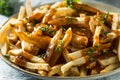 Homemade American Gravy Fries