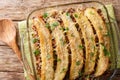 Homemade American Pastelon de Platano Maduro closeup baked in a baking dish. Horizontal top view