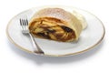 Homemade apfelstrudel, apple strudel Royalty Free Stock Photo