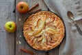 Homemade apple cake Royalty Free Stock Photo