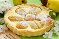 Homemade apple cake, apple fruit and blossom tree branch