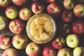 Homemade apple cider vinegar in glass jar with apples on counter Royalty Free Stock Photo