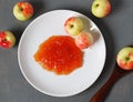 Homemade apple jam in a white plate on a gray background with fresh apples and a wooden spoon.Healthy natural food Royalty Free Stock Photo