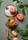 Homemade apple punch with fresh apples, cinnamon and spices in cup on a green background with fresh fruits and branch Royalty Free Stock Photo