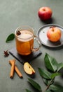 Homemade apple punch with fresh apples, cinnamon and spices in cup on a green background with fresh fruits and branch. A hot