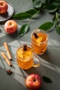 Homemade apple punch with fresh apples, cinnamon and spices in cups on a green background with fresh fruits, branch and morning