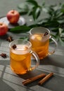 Homemade apple punch with fresh apples, cinnamon and spices in cups on a green background with fresh fruits, branch and morning
