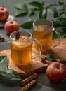 Homemade apple punch with fresh apples, cinnamon and spices in cups on a wooden board on a green background with fresh fruits and