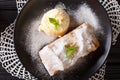 Homemade apple strudel with vanilla ice cream and mint closeup o Royalty Free Stock Photo