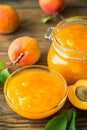 Homemade apricot jam in the jar and bowl Royalty Free Stock Photo