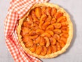 Homemade apricot pie Royalty Free Stock Photo