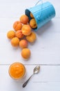 Homemade apricot puree and iron pail with fresh apricots