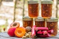 Homemade apricot rhubarb walnu conserve