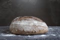 Homemade artisan bread Royalty Free Stock Photo