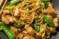 Homemade Asian Chicken Noodle Stir Fry Royalty Free Stock Photo