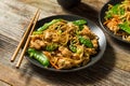 Homemade Asian Chicken Noodle Stir Fry Royalty Free Stock Photo