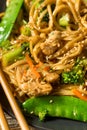 Homemade Asian Chicken Noodle Stir Fry Royalty Free Stock Photo