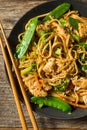 Homemade Asian Chicken Noodle Stir Fry Royalty Free Stock Photo