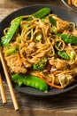 Homemade Asian Chicken Noodle Stir Fry Royalty Free Stock Photo