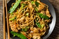 Homemade Asian Chicken Noodle Stir Fry Royalty Free Stock Photo