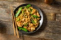 Homemade Asian Chicken Noodle Stir Fry Royalty Free Stock Photo