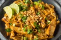 Homemade Asian Chicken Pad Thai Royalty Free Stock Photo