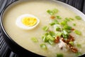 Homemade Asian rice soup with chicken, vegetables and egg close-up. horizontal Royalty Free Stock Photo