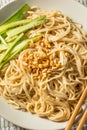 Homemade Asian Sesame Noodles Royalty Free Stock Photo