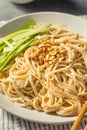 Homemade Asian Sesame Noodles Royalty Free Stock Photo