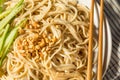 Homemade Asian Sesame Noodles Royalty Free Stock Photo