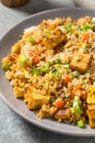 Homemade Asian Tofu Fried Rice Royalty Free Stock Photo
