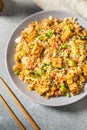 Homemade Asian Tofu Fried Rice Royalty Free Stock Photo