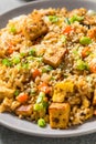 Homemade Asian Tofu Fried Rice Royalty Free Stock Photo