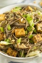 Homemade Asian Tofu Soba Noodle Bowl Royalty Free Stock Photo