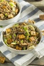 Homemade Asian Tofu Soba Noodle Bowl Royalty Free Stock Photo