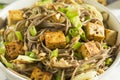 Homemade Asian Tofu Soba Noodle Bowl Royalty Free Stock Photo