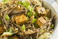 Homemade Asian Tofu Soba Noodle Bowl Royalty Free Stock Photo