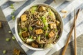 Homemade Asian Tofu Soba Noodle Bowl Royalty Free Stock Photo