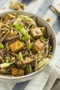 Homemade Asian Tofu Soba Noodle Bowl Royalty Free Stock Photo