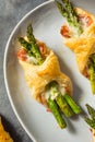 Homemade Asparagus Puff Pastry Appetizer Royalty Free Stock Photo