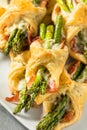Homemade Asparagus Puff Pastry Appetizer Royalty Free Stock Photo