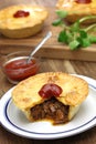 Homemade aussie meat pie Royalty Free Stock Photo